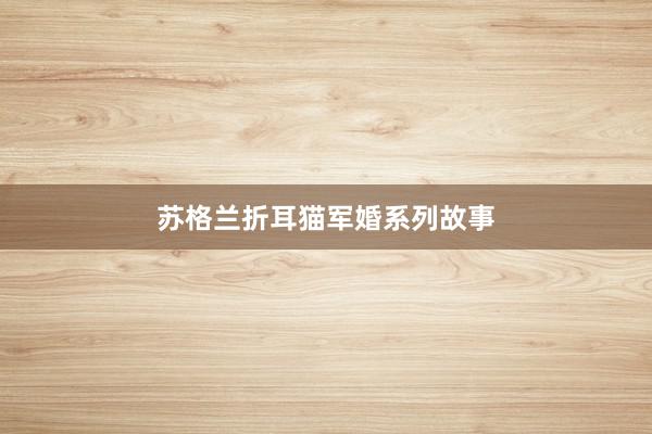 苏格兰折耳猫军婚系列故事