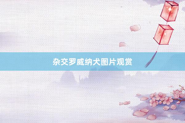 杂交罗威纳犬图片观赏